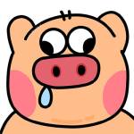 ccc ccc Profile Picture