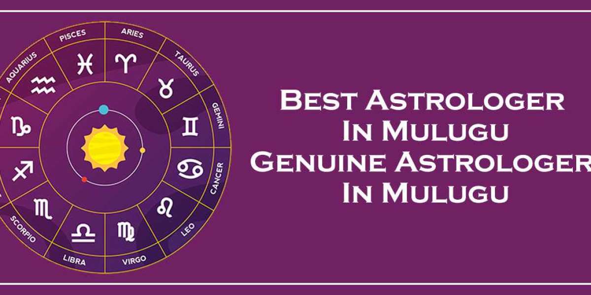 Best Astrologer in Mulugu