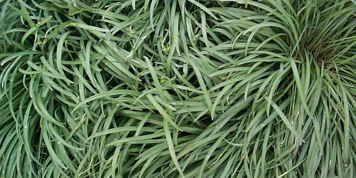 The Heart Of The Internet