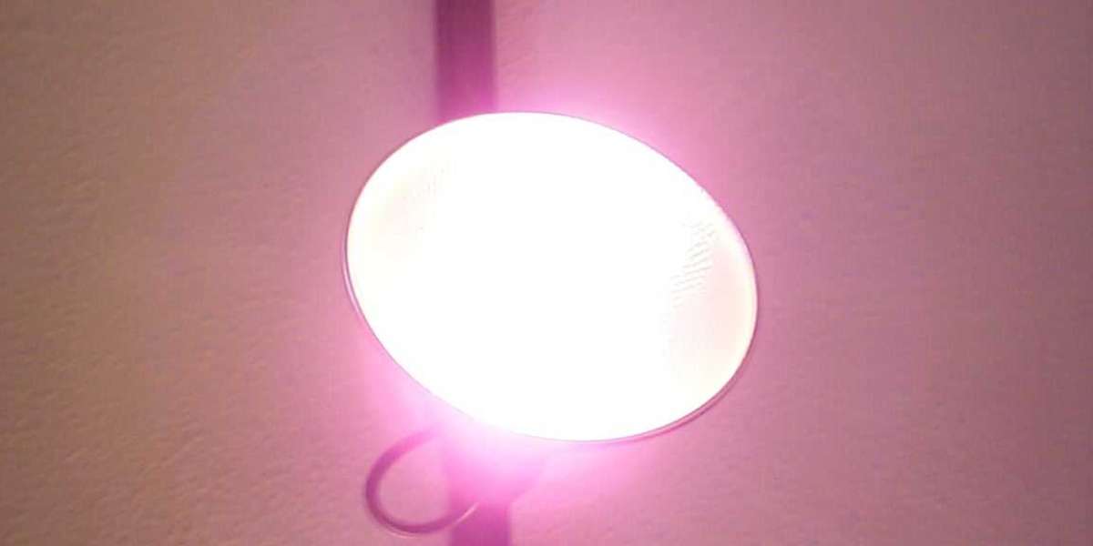 The ULTIMATE Test Tren Dbol Cycle PDF Cooking, Food & Wine Lifestyle