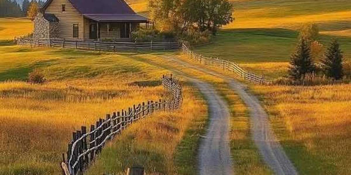 5 factors I will proceed in direction of obtain erroneous in the course of the Steelers offseason