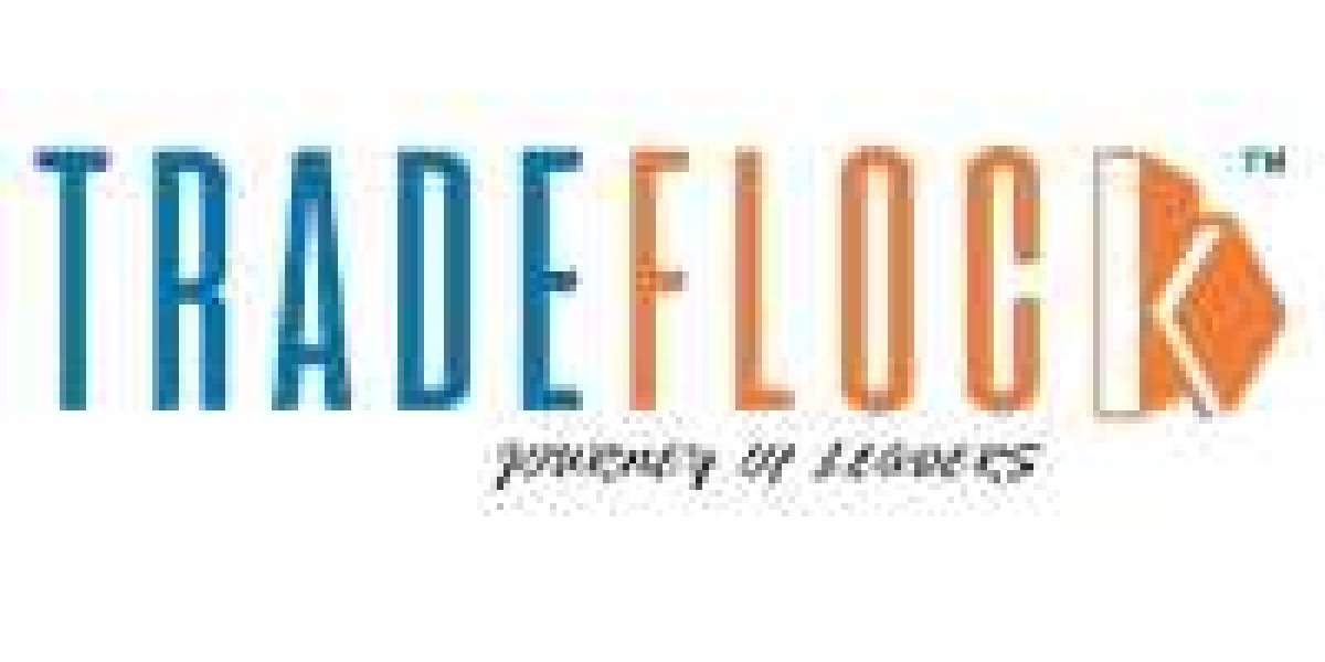 SD Movies Hub: The Popularity of Free Streaming and the Risks Behind It