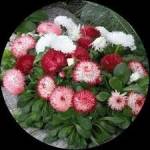 Gul bhahar Profile Picture