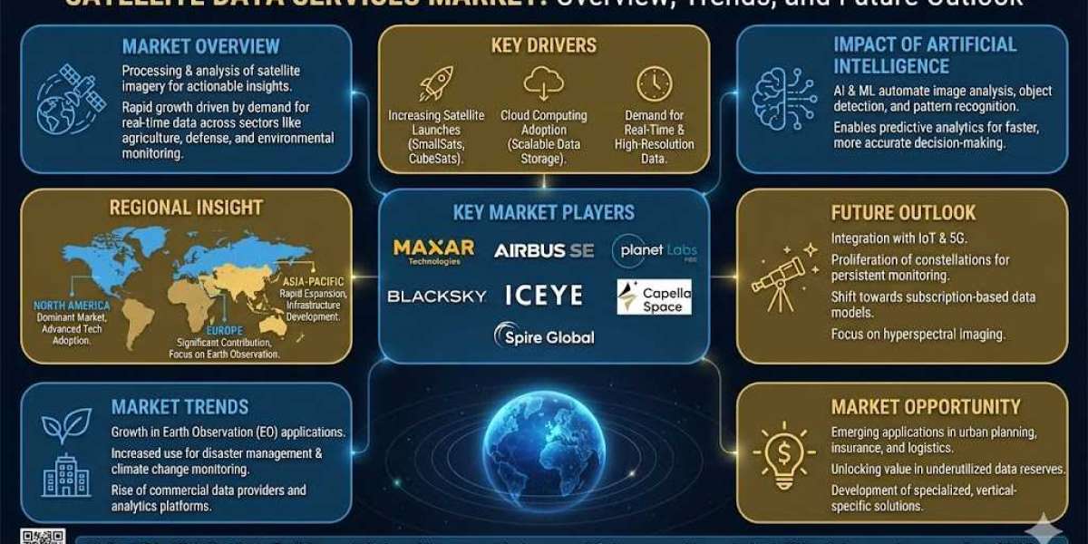 Satellite Data Services Industry Analysis: Market Size, Share & Growth Forecast to 2035