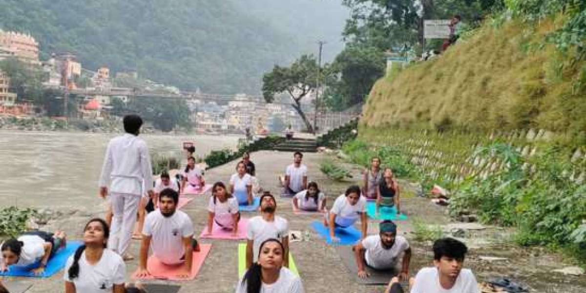 500 Hour Yoga TTC in Rishikesh: Deepen Your Knowledge and Confidence