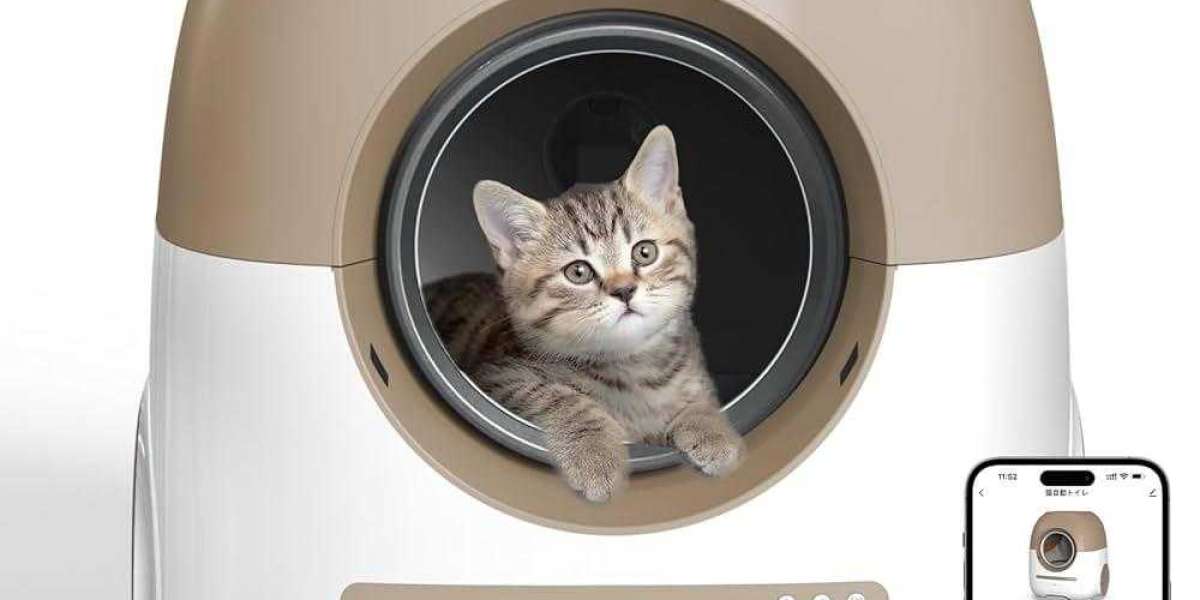 What Sets Pawtechpet Cat Litter Box Automatic Cleaning Apart in Pet Care