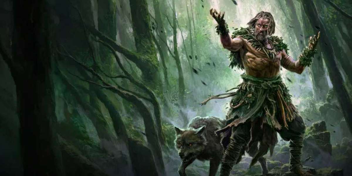 eld.gg Path of Exile 2 Currency: Gear Priorities for Plant Sorceress